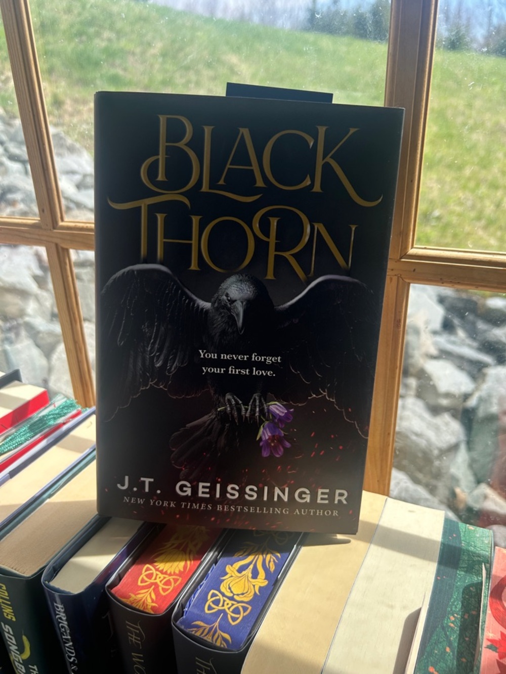 Blackthorn by J.T. Geissinger - Black Hardcover